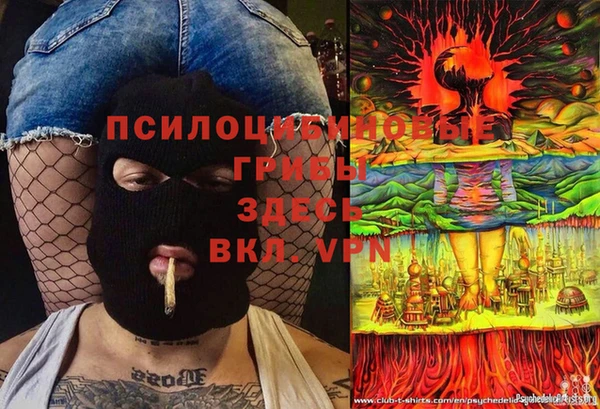 амф Алексин