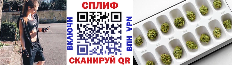 Купить где  Моздок  Конопля семена 